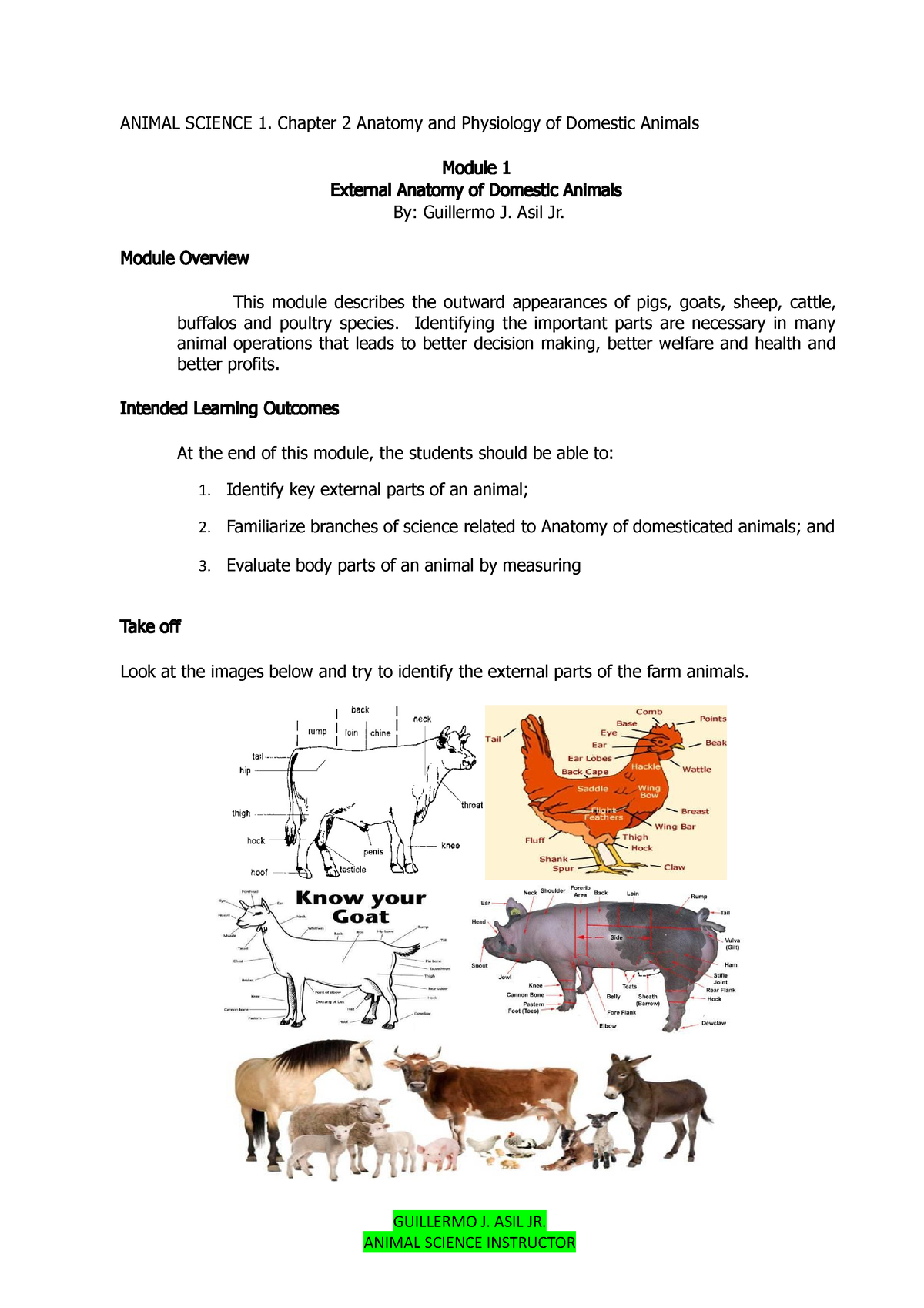 Module 1 External Anatomy of domestic Animals - ANIMAL SCIENCE 1 ...