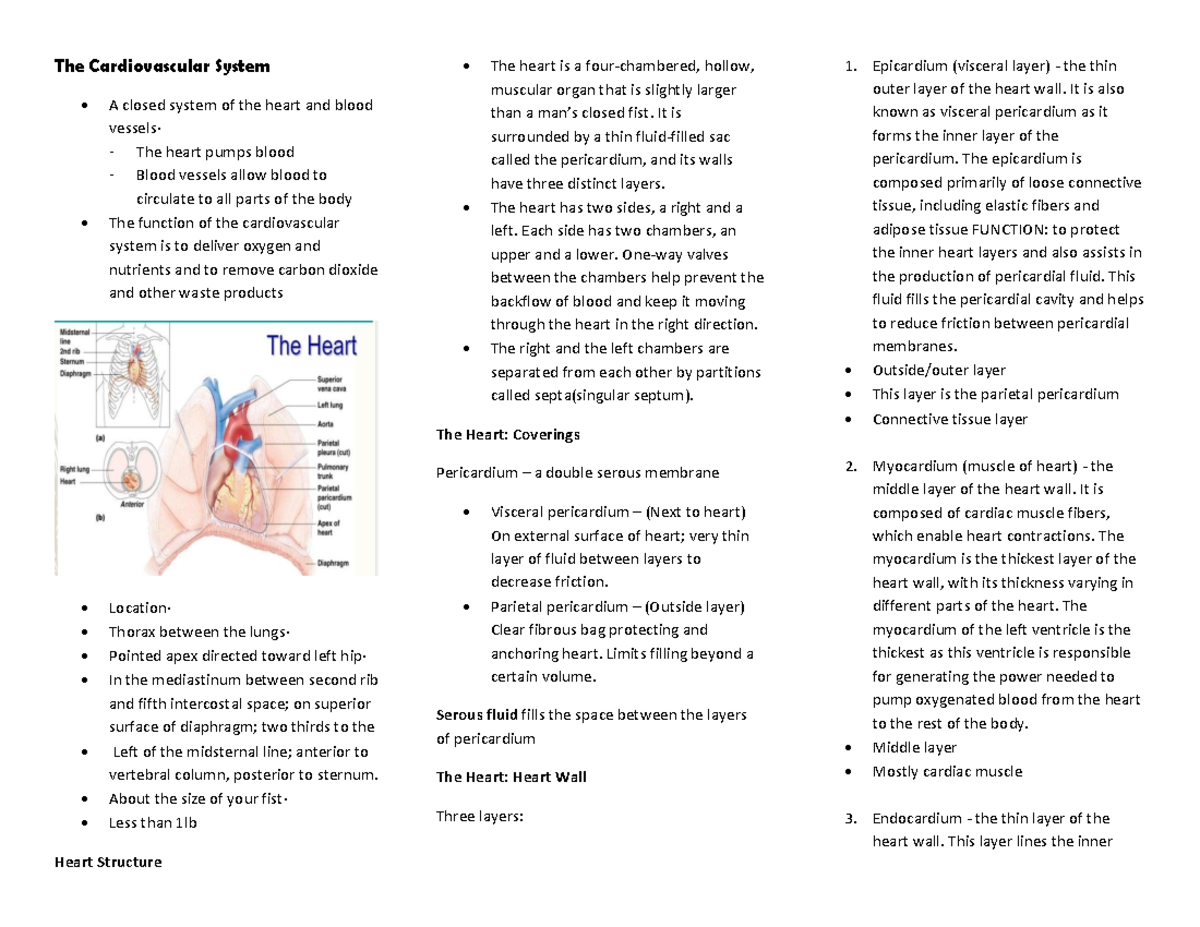 Anatomy Finals - GOODLUCKK! - The Cardiovascular System A closed system ...