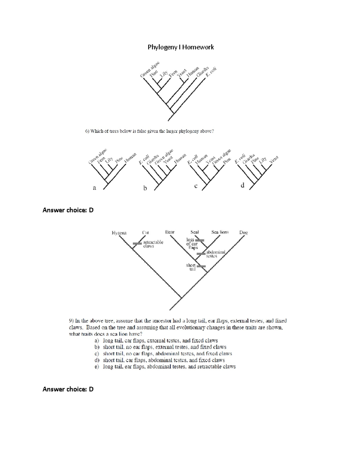 phylogeny-homework-phylogeny-i-homework-answer-choice-d-answer