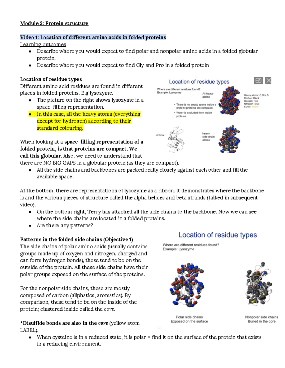 Module 2 Protein structure Module 2 Protein structure Video 1