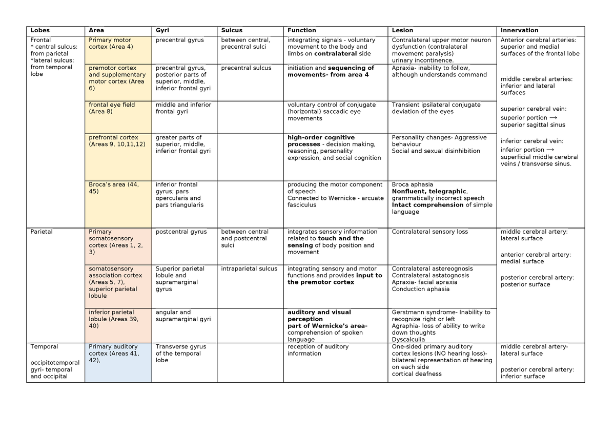 Summary cerebral cortex - Lobes Area Gyri Sulcus Function Lesion ...