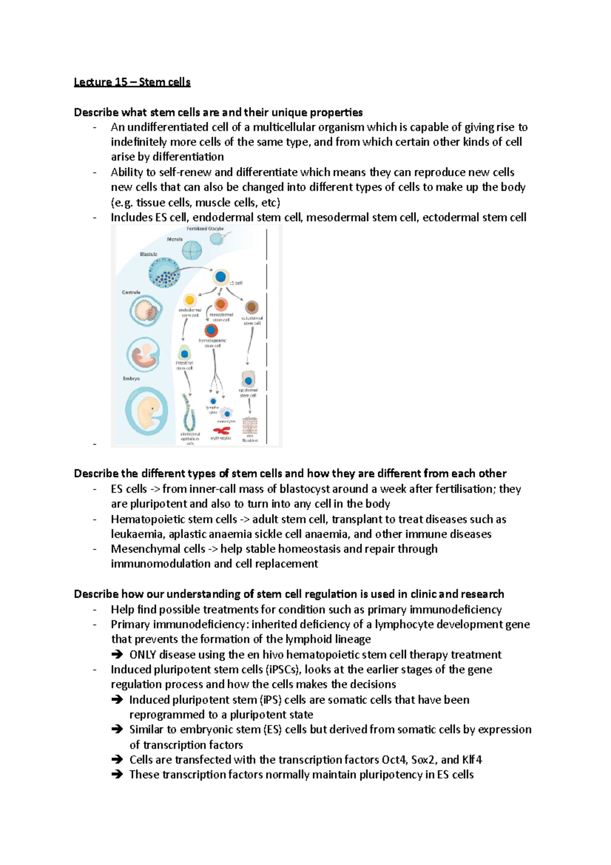 Lecture 15 - Lecture 15 – Stem cells Describe what stem cells are and ...