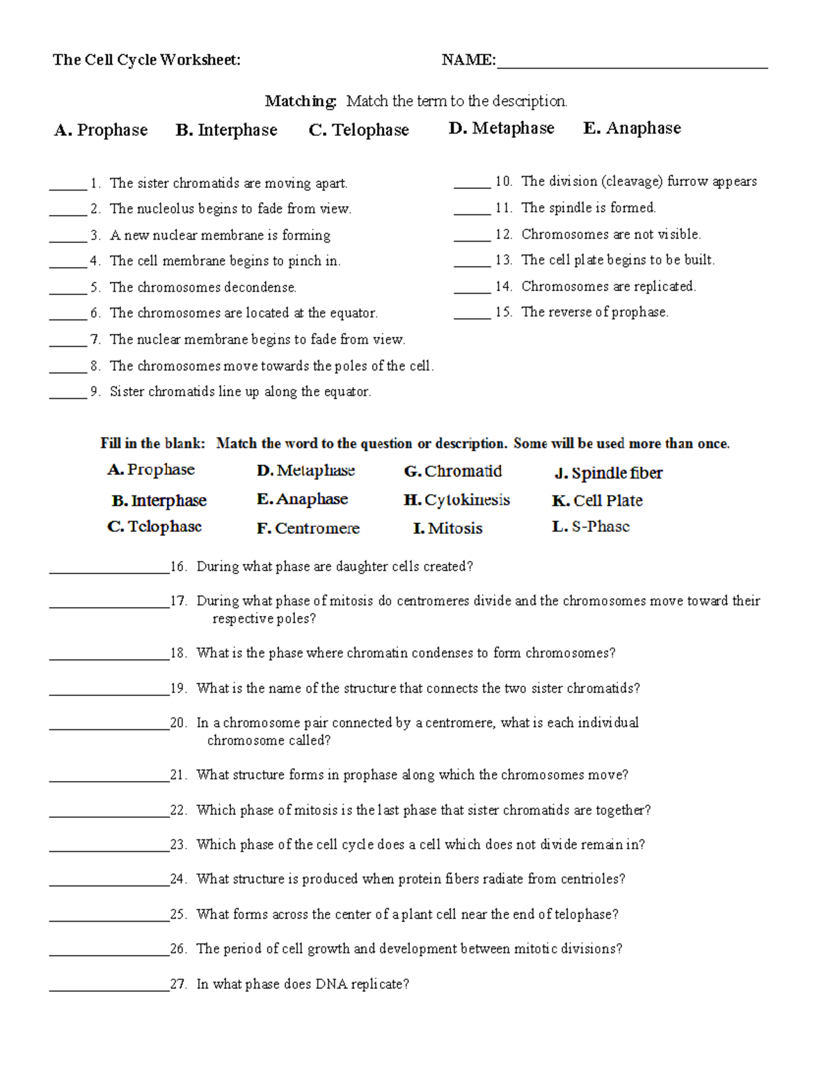 Mitosis worksheet 15-16 - The Cell Cycle Worksheet: NAME