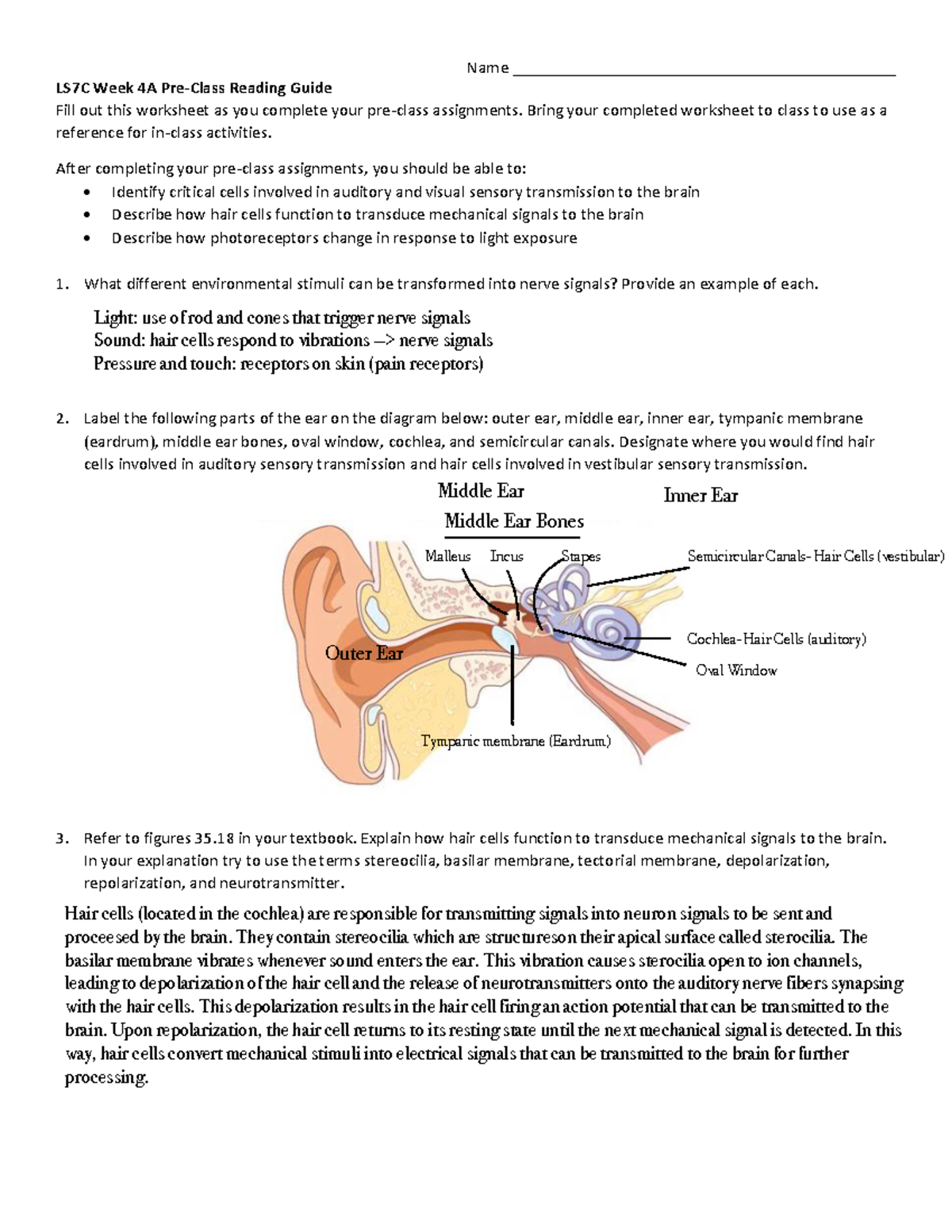 LS7C Week 4A Pre-Class Reading Guide - Name