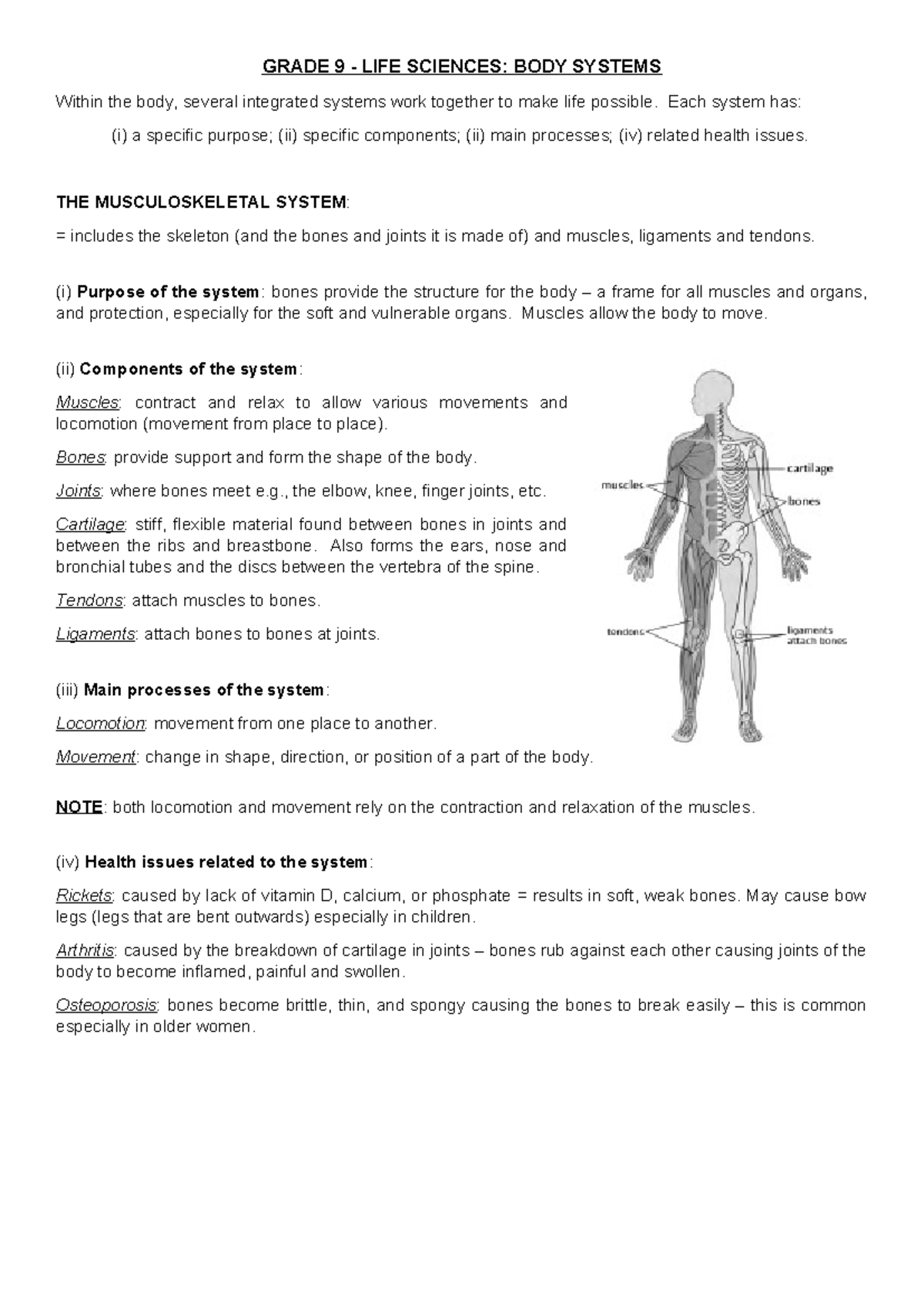 Summary of body systems - simple, introductory notes - school level ...