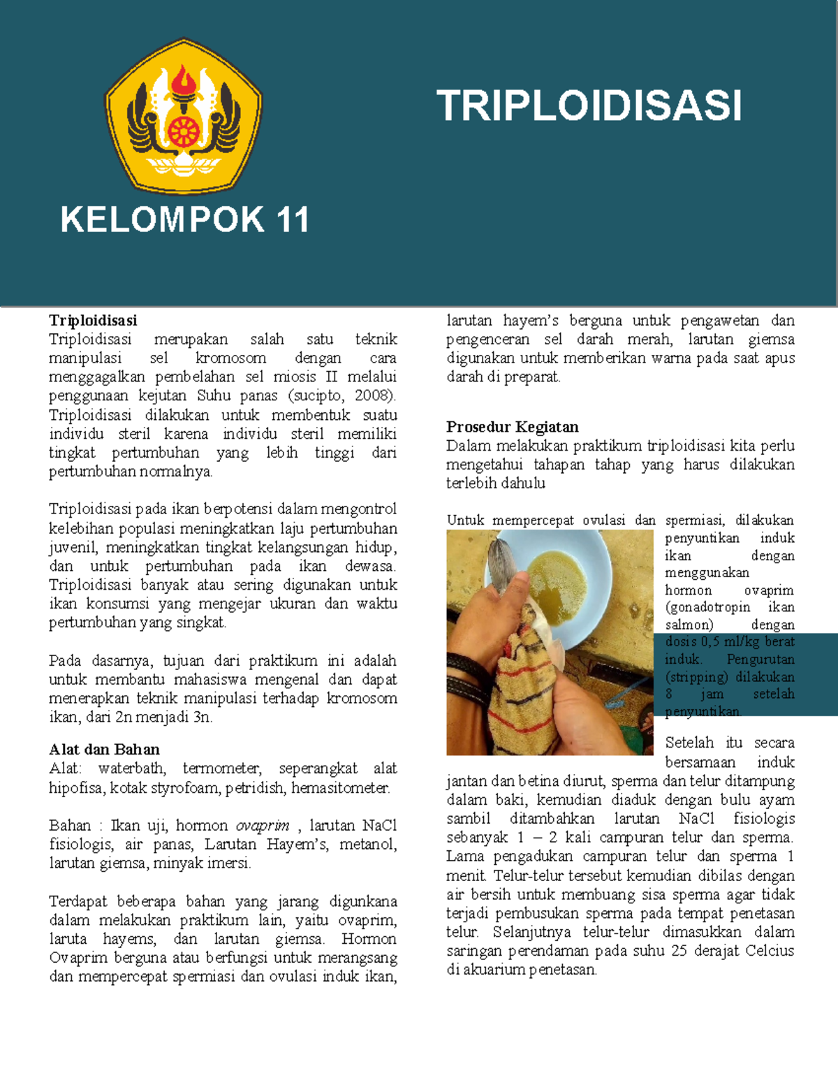 Artikel triplodisasi - sedikit tentang contekan triploidisasi ...