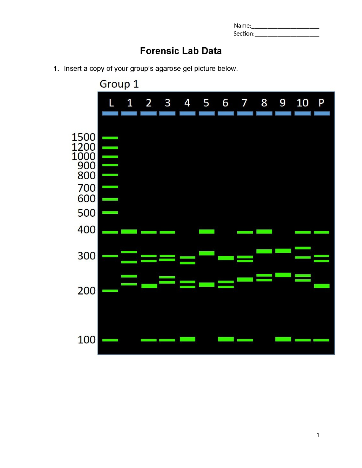 Forensic Biology Bioinformatics Iilab Protocolanddatasheet V4 1 Section 