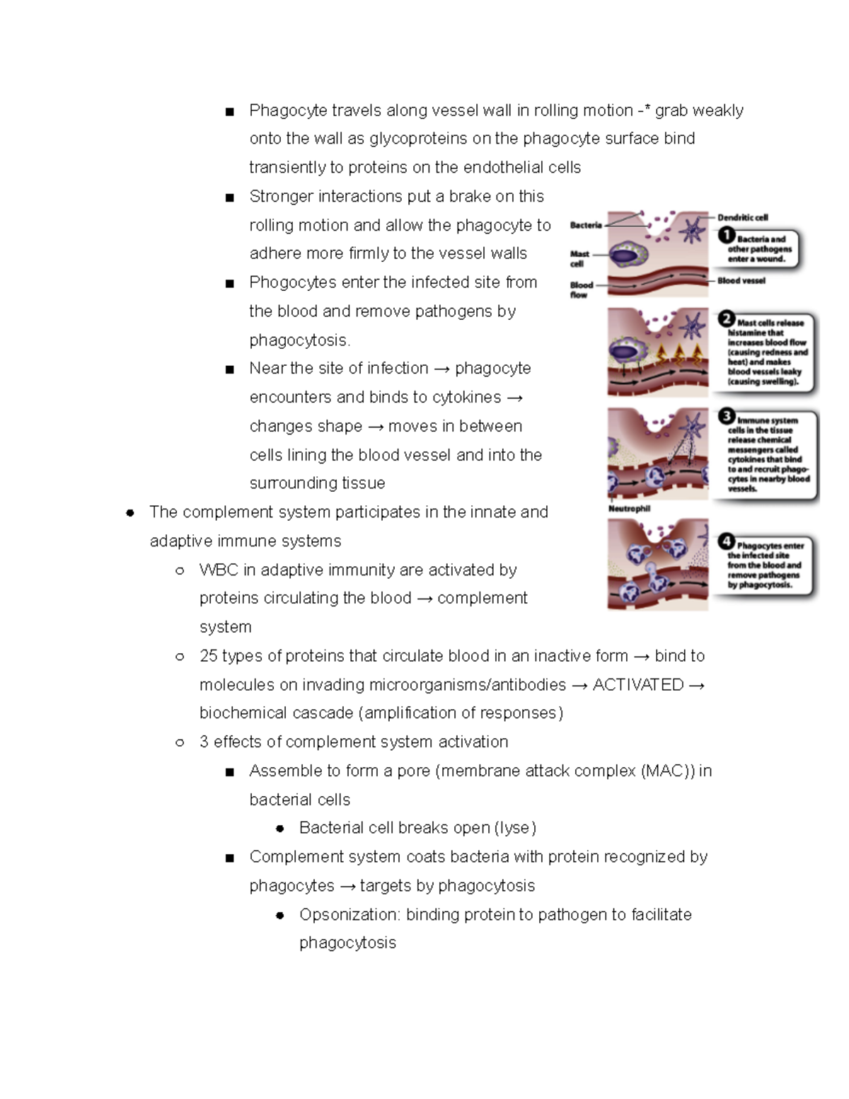 7C - Google Docs (dragged) - Studocu