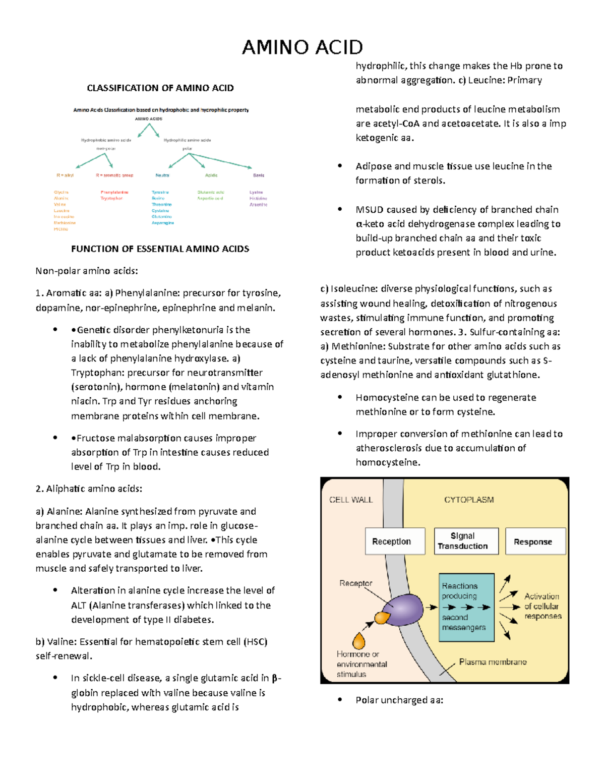 Amino Acid notes AMINO ACID CLASSIFICATION OF AMINO ACID FUNCTION OF ESSENTIAL AMINO ACIDS