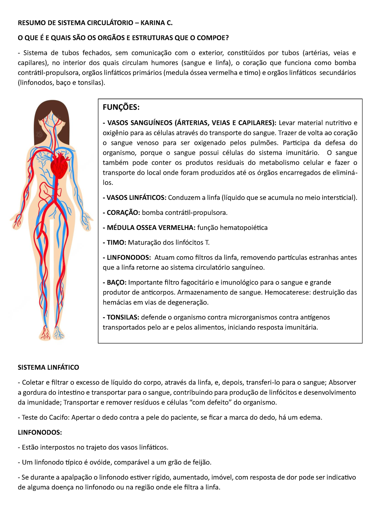 Sistema Circulatorio Resumo Resumo De Sistema CirculÁtorio Karina C O Que É E Quais SÃo 5119