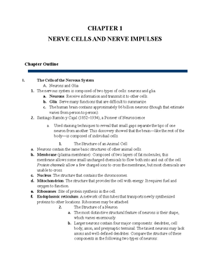 Chapter+2+Notes-Synapses - CHAPTER 2 SYNAPSES Chapter Outline I. The ...