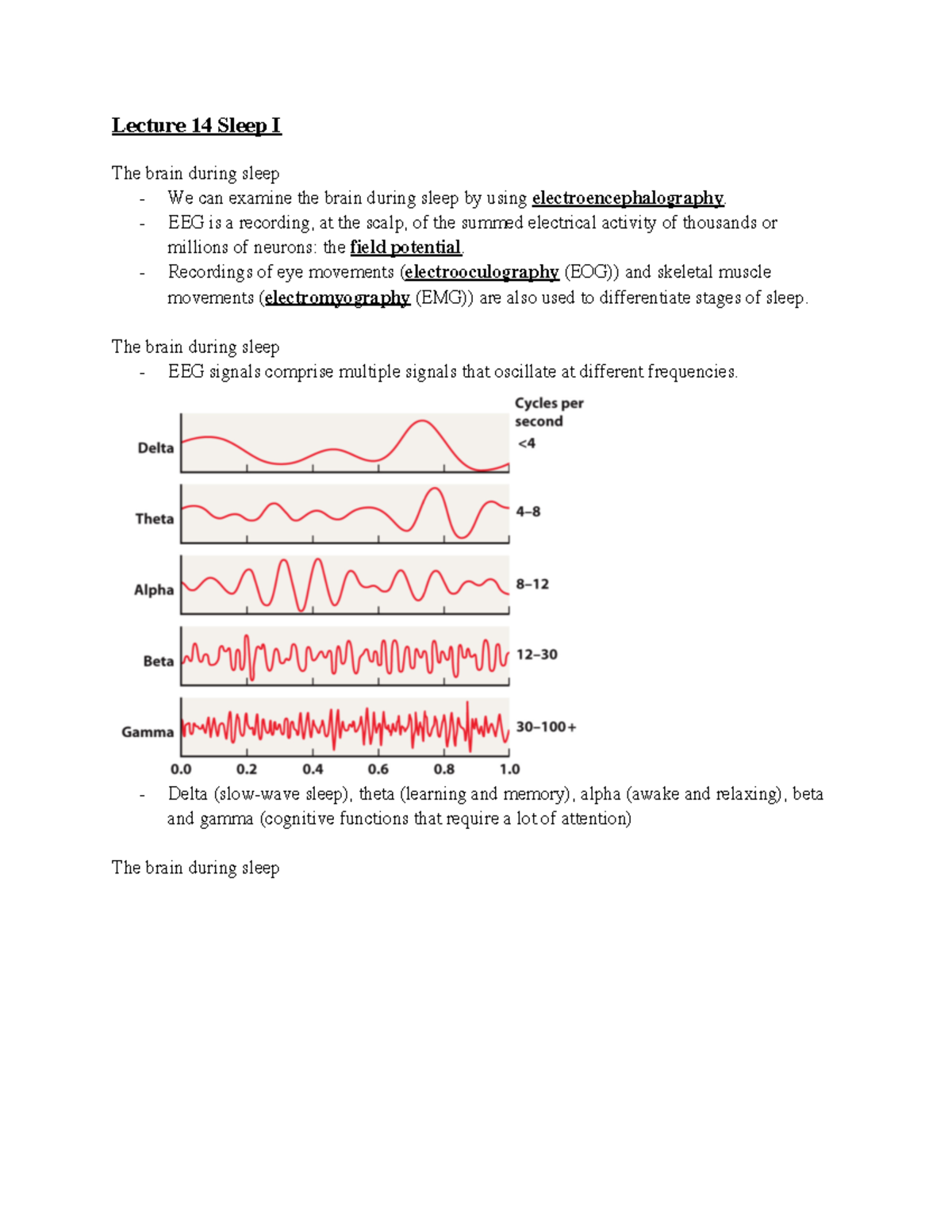 2019- Psycun 2430 Cognitive Neuroscience-lecture notes lecture 14 Sleep ...