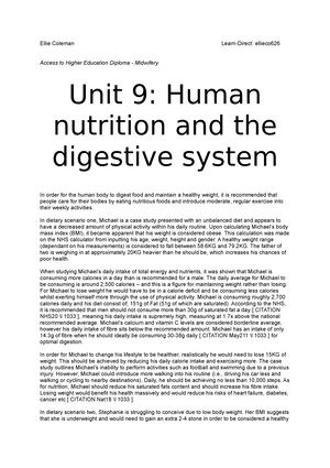 expository essay on digestive system