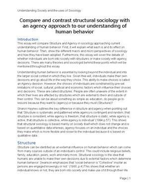 Agency structure essay picture