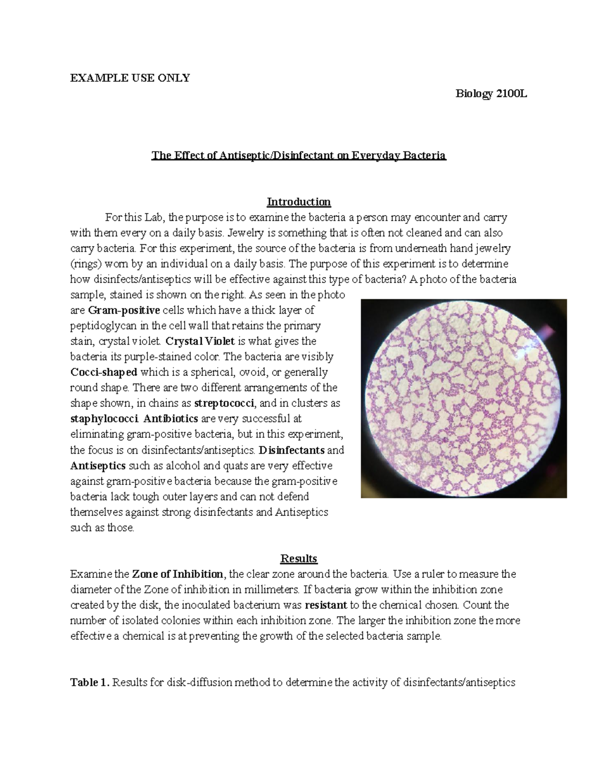 Microbiology Lab Report Example Use Only Biology 2100l The Effect Of Antisepticdisinfectant 