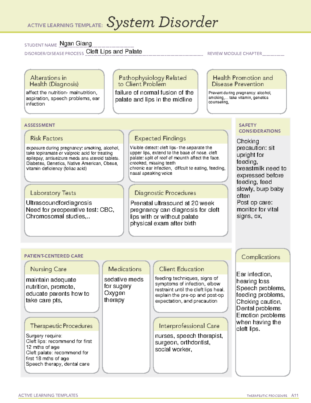 Cleft lips and palate - assignment - ACTIVE LEARNING TEMPLATES ...