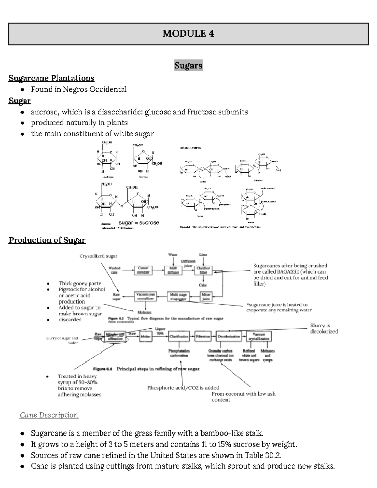 [CHEM 81.51] LT 2 - Lecture Notes - MODULE 4 Sugars Sugarcane ...