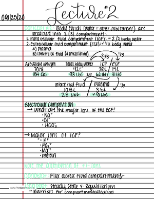 Human Physiology Exam 2 Notes - Week 5 - Chapter 7: The Nervous System ...