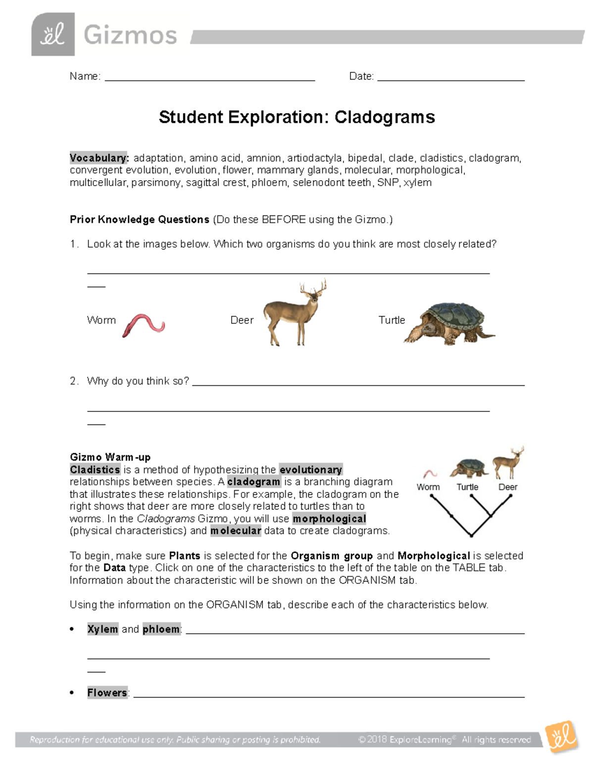 Cladograms SE Name Date Student Exploration Cladograms Vocabulary adaptation, amino acid