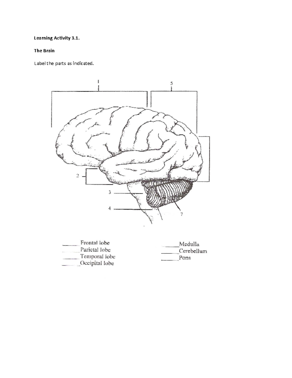 Learning Activity Chapter 3 (completed) - Learning Activity 3. The ...