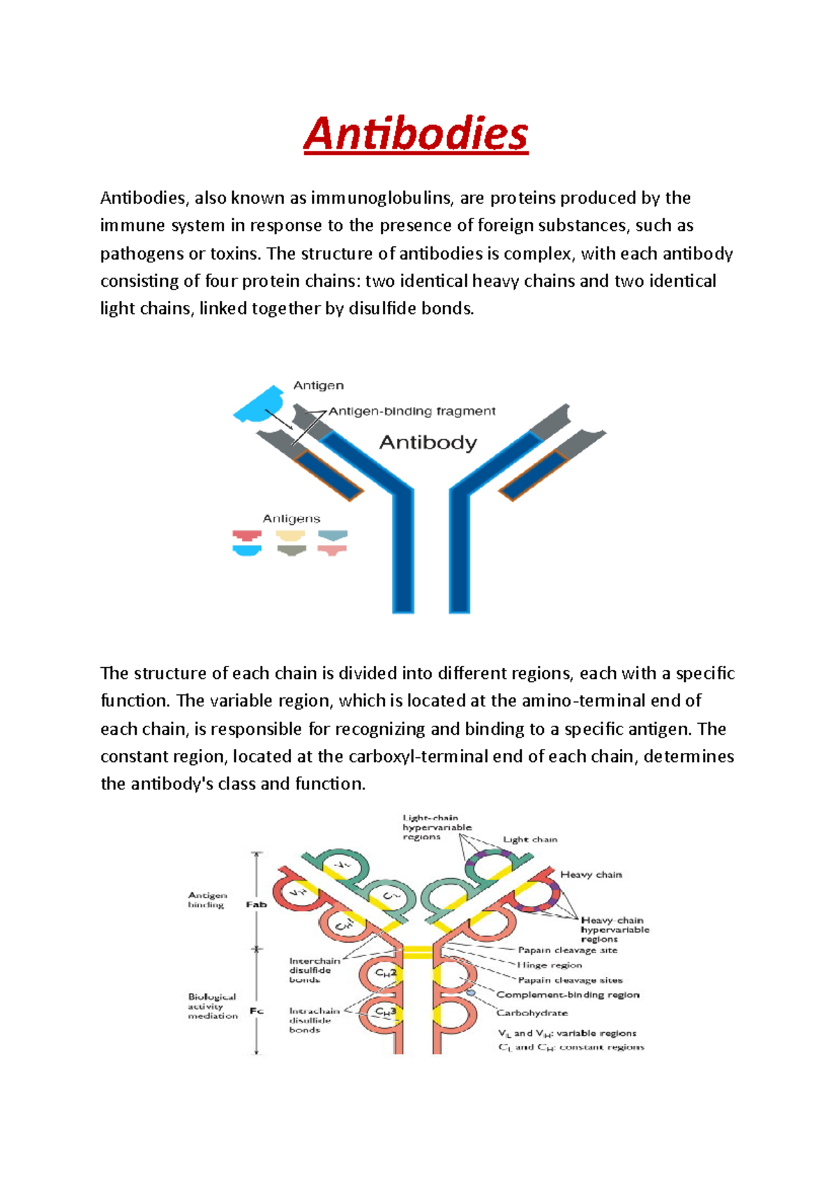 Antibodies Antibodies Antibodies, also known as immunoglobulins, are
