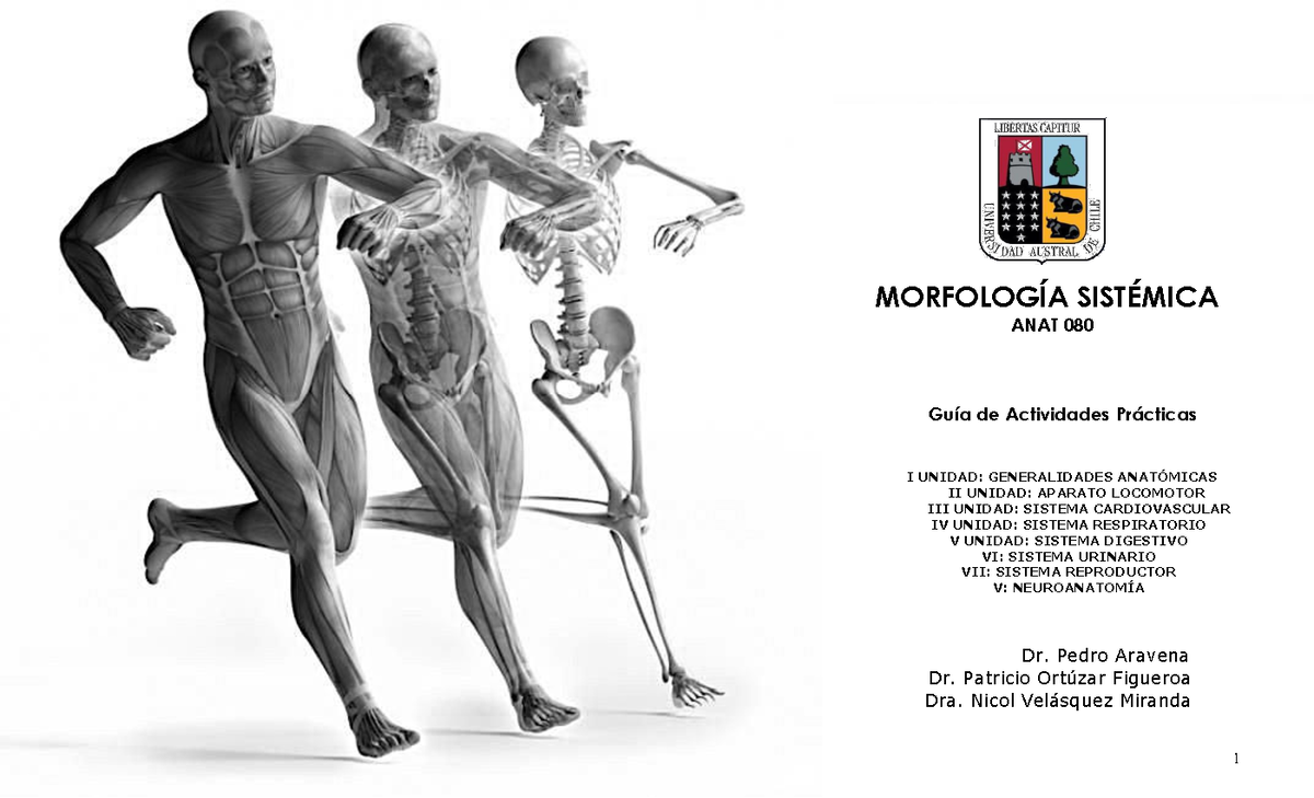 Guiaa Practica Anatomia Morfolog A Sist Mica Anat Gu A De Actividades Pr Cticas I Unidad