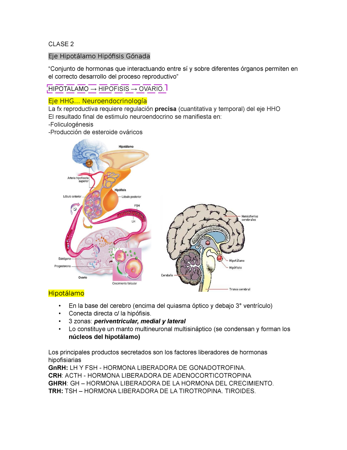 Clase 2 Clase 2 Eje Hipotálamo Hipófisis Gónada “conjunto De Hormonas Que Interactuando Entre 9320