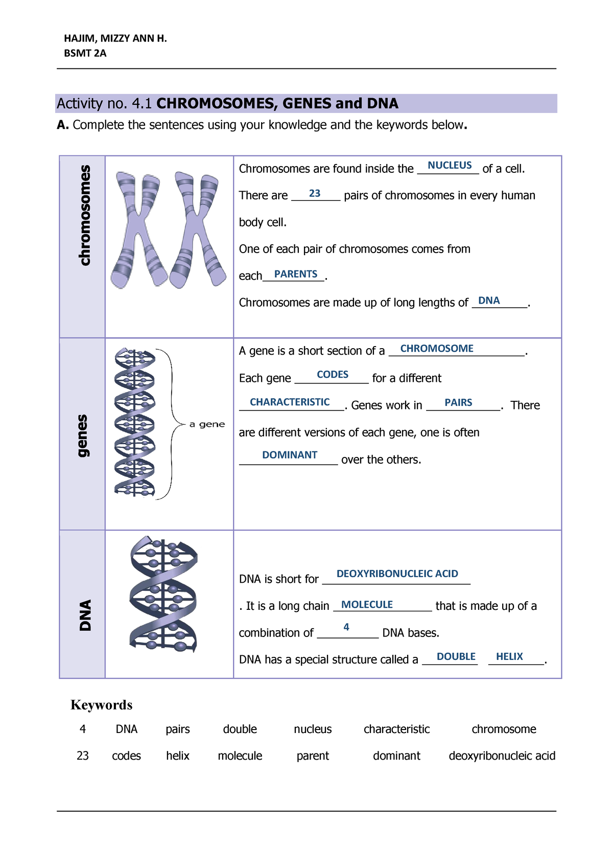 activity-no-4-1-chromosomes-genes-and-dna-activity-no-4