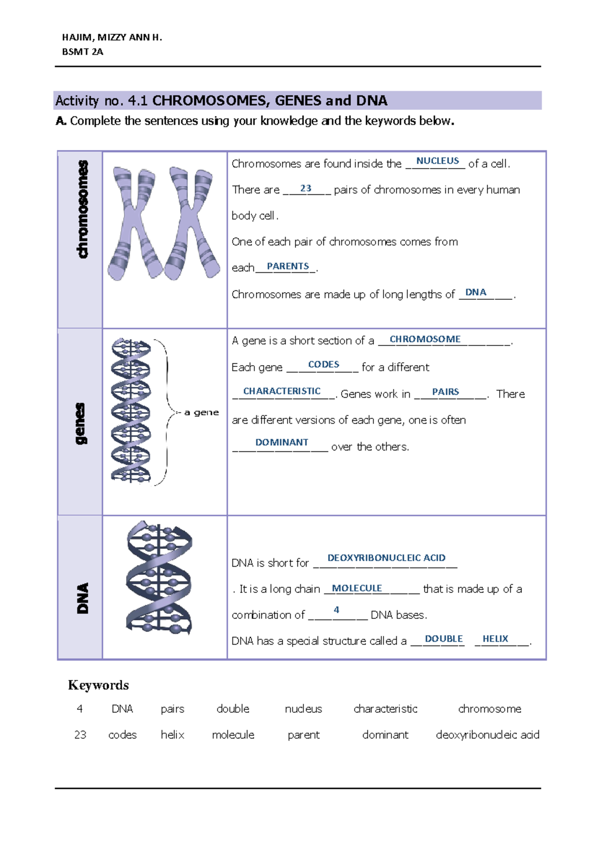 Activity No 4 1 Chromosomes Genes And DNA Activity No 4