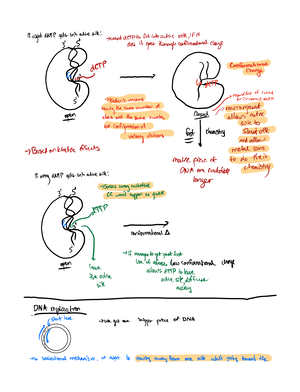 genetic experiments meaning