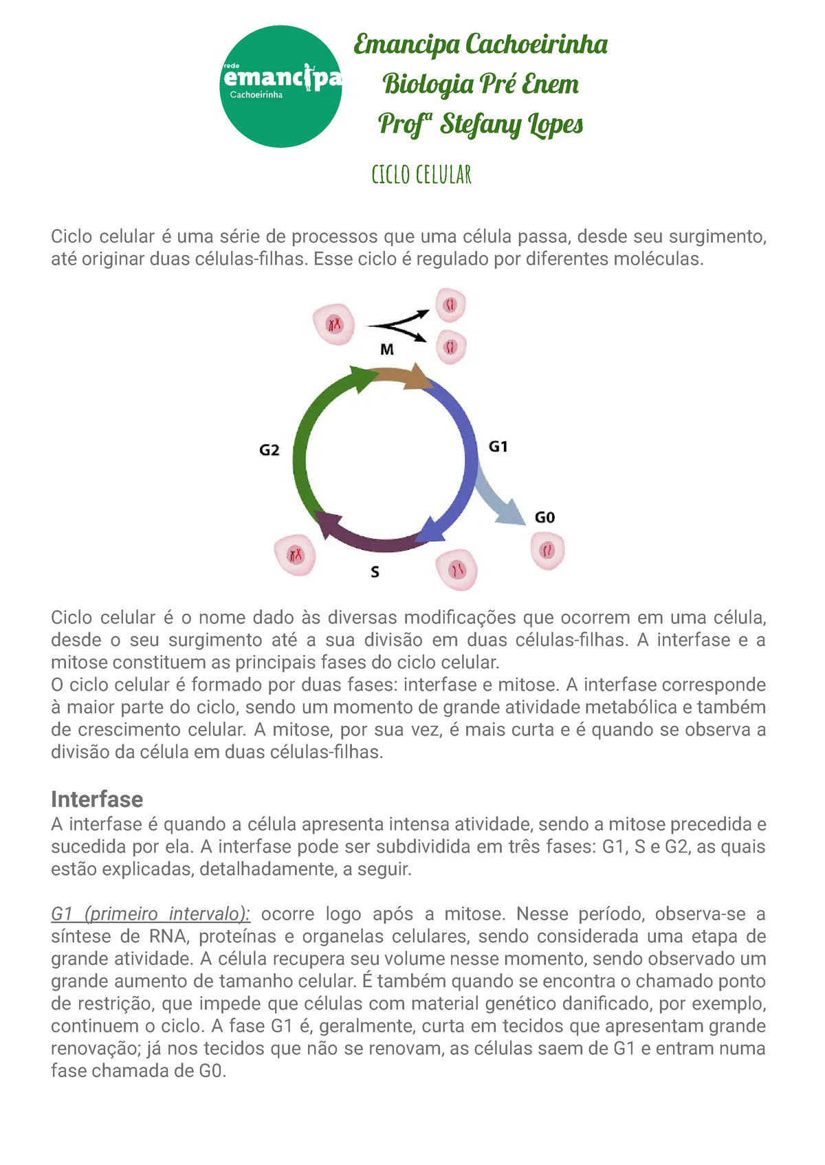 O que é interfase e as fases G1, S e G2 no ciclo celular - Toda Matéria