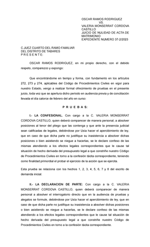 Audiencia DE Pruebas Y Alegatos - EXPEDIENTE NÚMERO: 37-2/ AUDIENCIA DE ...