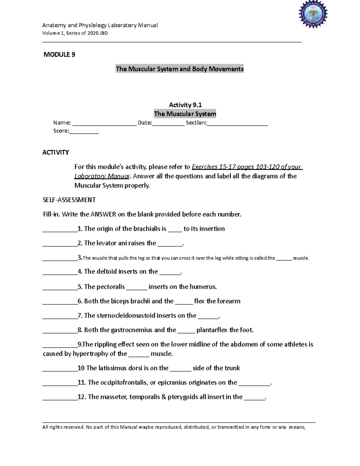 Activity 9SheetsontheMuscularSystem Anatomy and Physiology