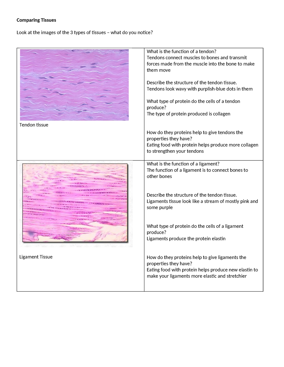 Comparing Tissues Chart Only 1 pg - Comparing Tissues Look at the ...