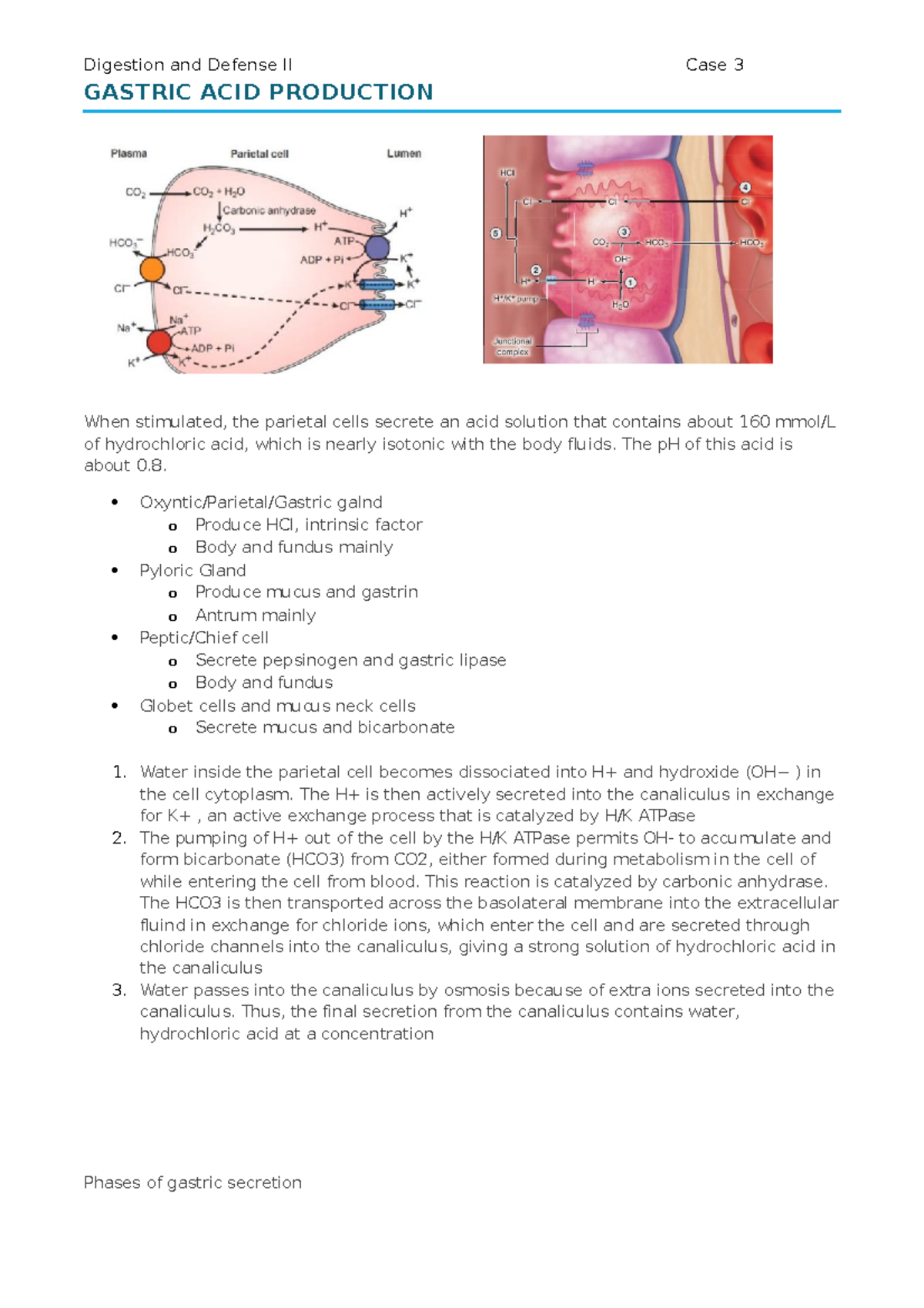 Gastroentereology cases - GASTRIC ACID PRODUCTION When stimulated, the ...