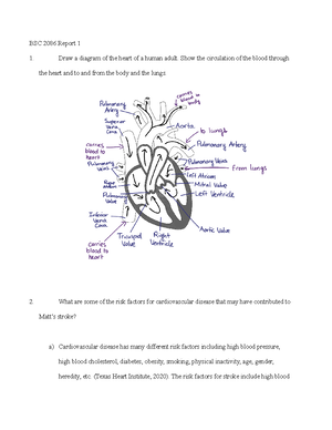 Chapter 19 Study Guide - Chapter 19: Blood Study Guide **DO NOT GOOGLE ...