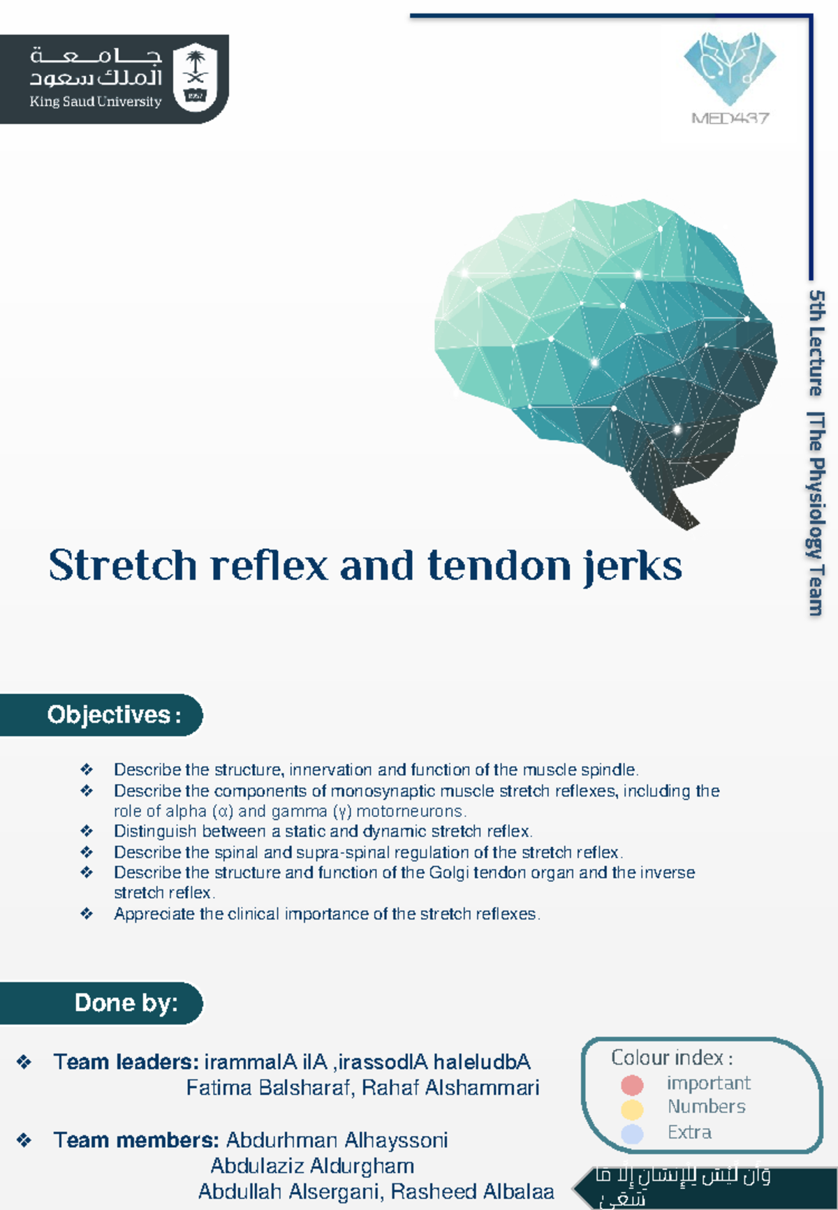 5 - Stretch reflex and tendon jerks - Describe the structure ...