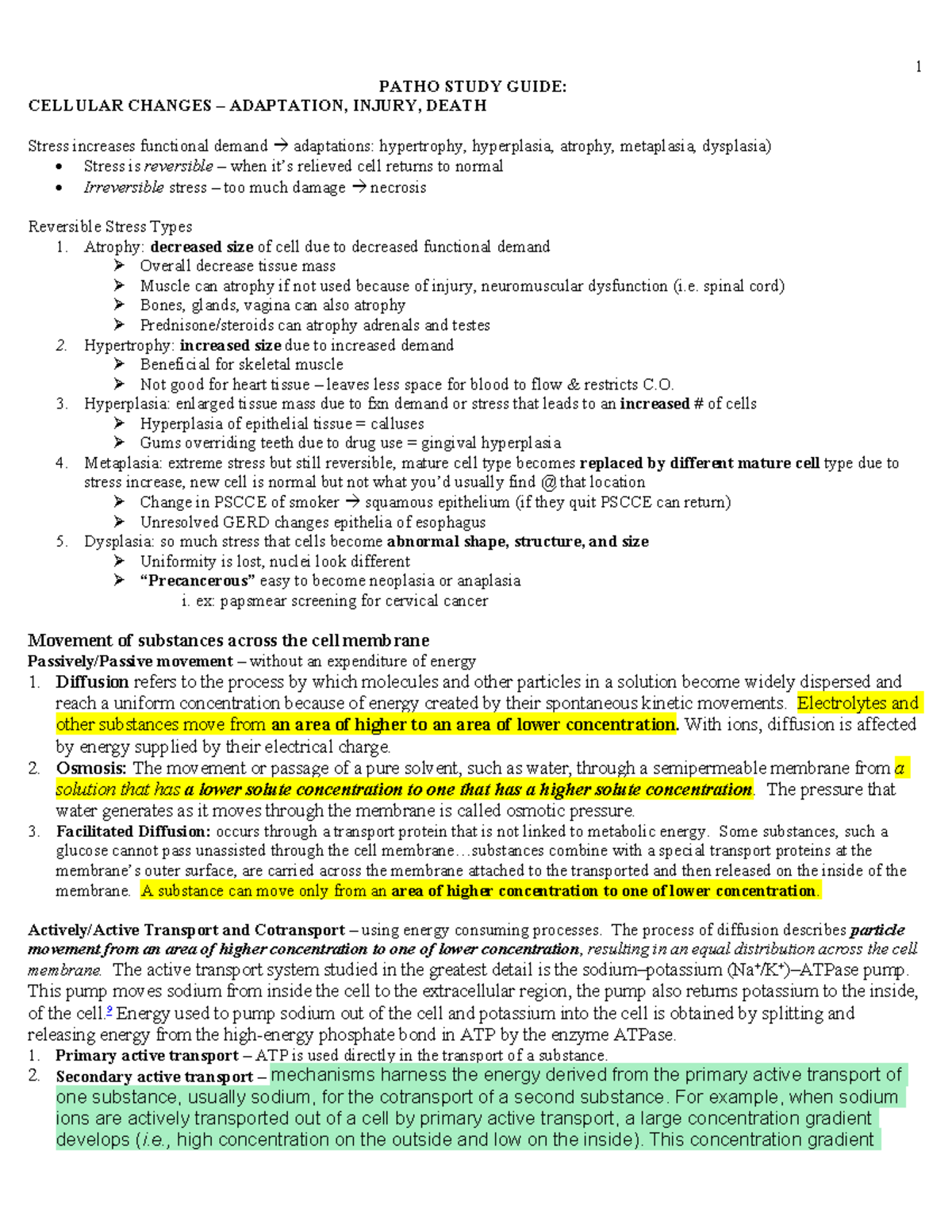 Patho Study Guide - PATHO STUDY GUIDE: CELLULAR CHANGES – ADAPTATION ...