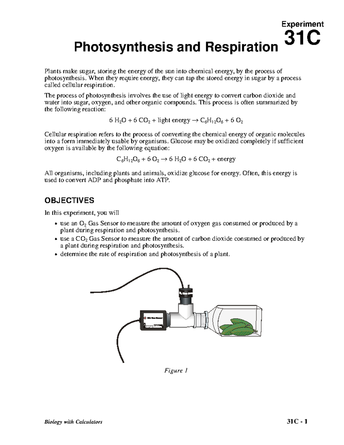 Vernier Act 25 photosynthesis Experiment 31C Biology with Calculators