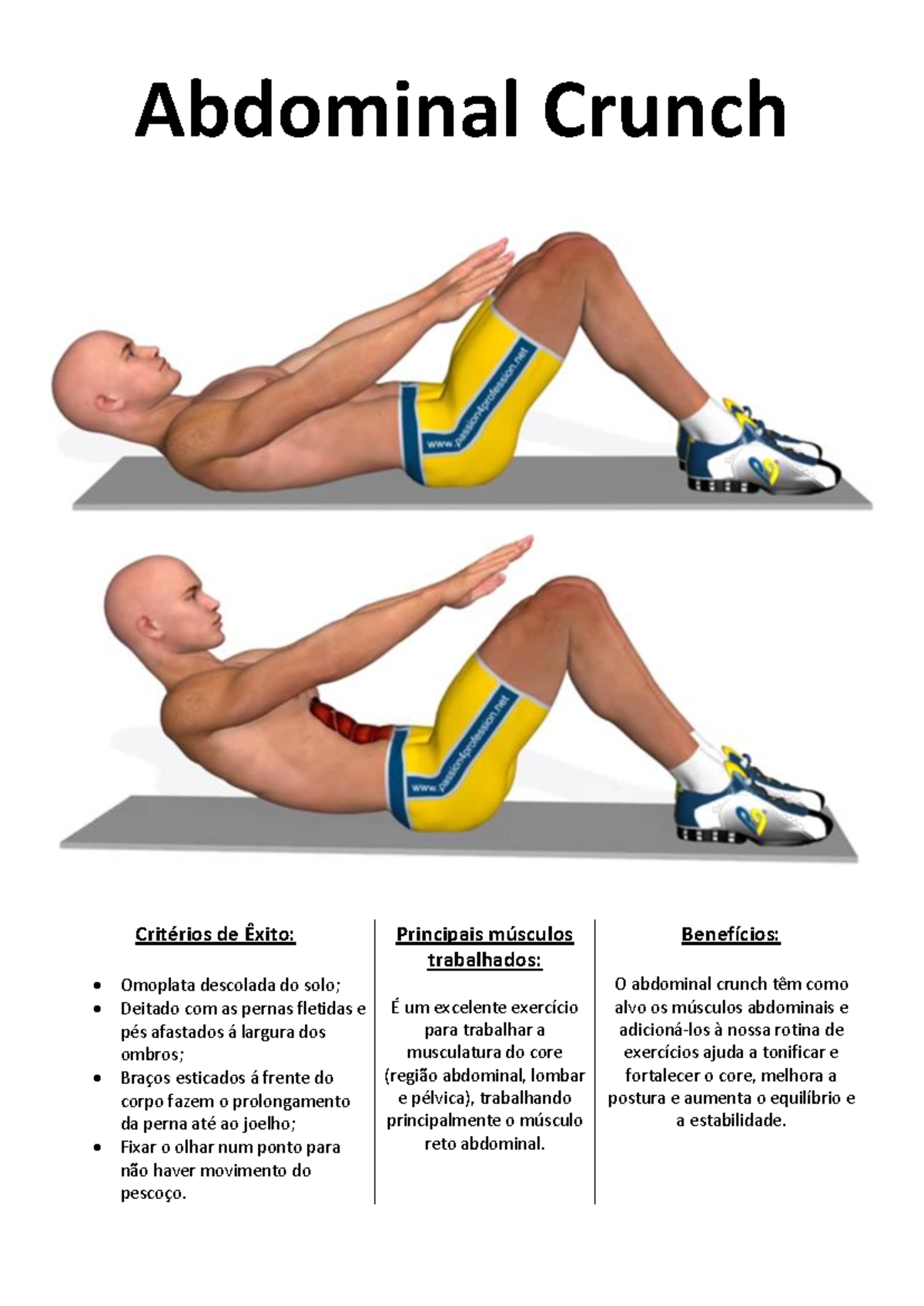 Circuito 2 - Exercícios - Abdominal Crunch Critérios de Êxito ...