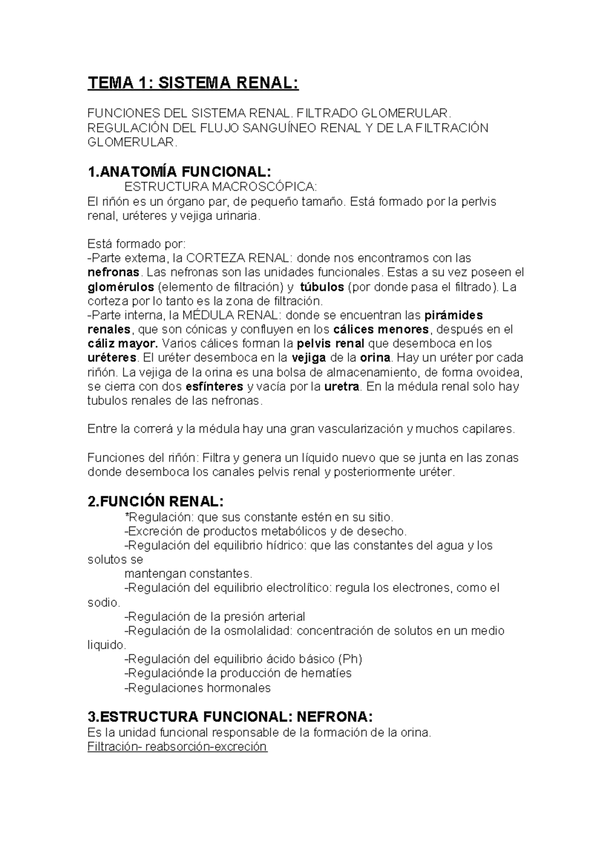 función de los capilares en el riñón