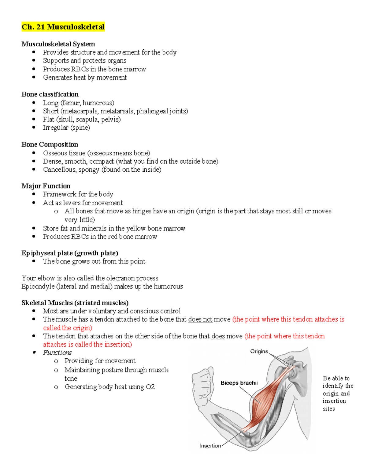 Ch. 21 Musculoskeletal Notes - Ch. 21 Musculoskeletal Musculoskeletal ...