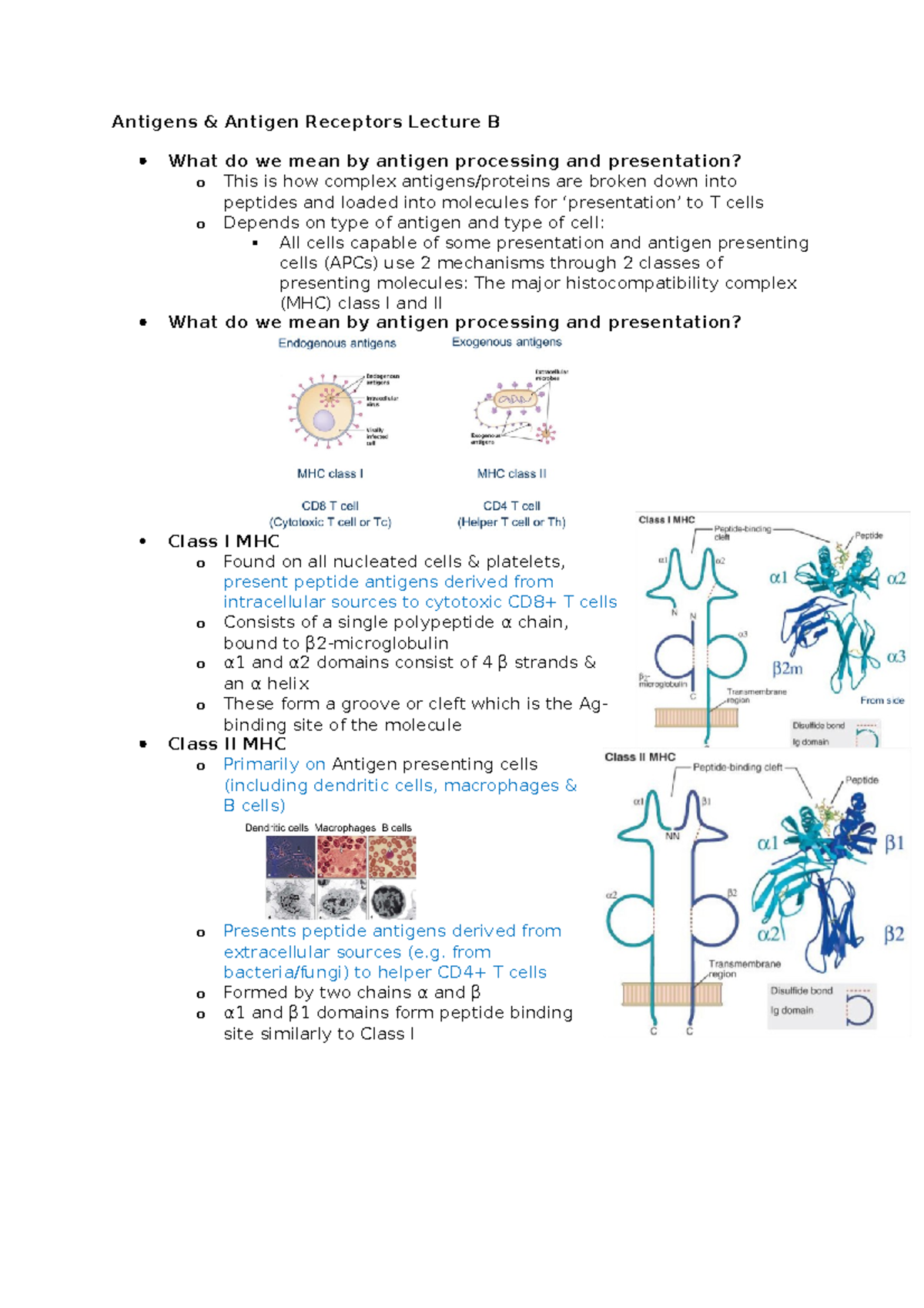 Antigens & Antigen Receptors Lecture B from bacteria/fungi) to helper