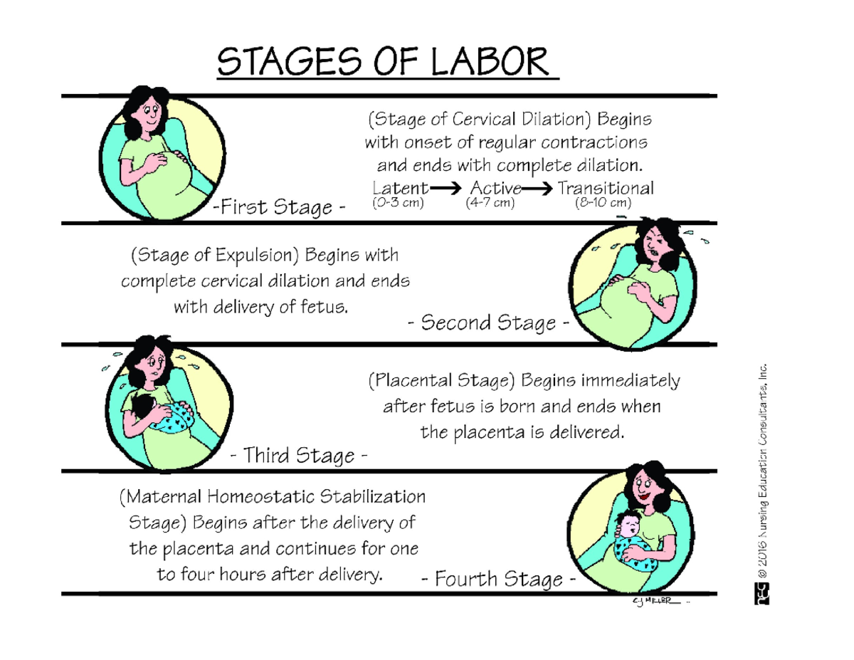 Stages OF Labor - PNEUMONICS - STAGES OF LABOR (Stage of Cervical ...