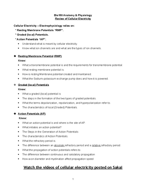Integumentary+System+Study+Guide+Spring+2022 - Bio 168 Anatomy ...