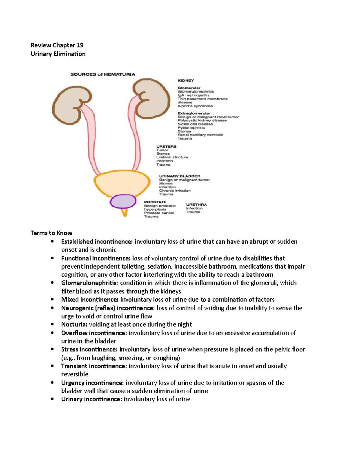Review Chapter 19 - , from laughing, sneezing, or coughing) Transient ...