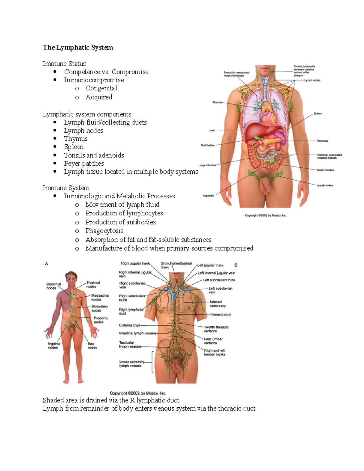 The Lymphatic System - The Lymphatic System Immune Status Competence vs ...
