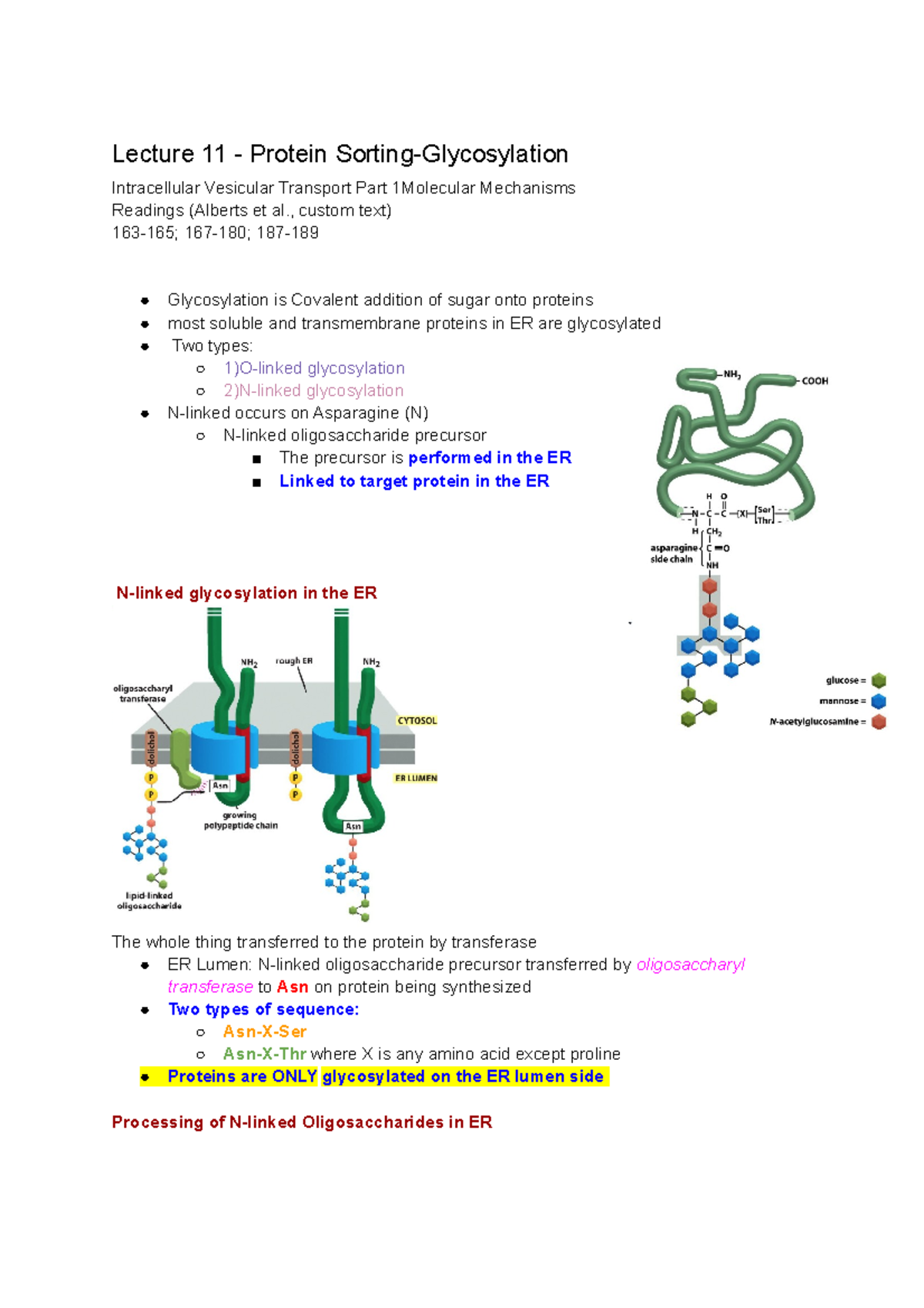 BIO230 UTSG Term 1 Lecture Notes Lecture 11 Protein Sorting
