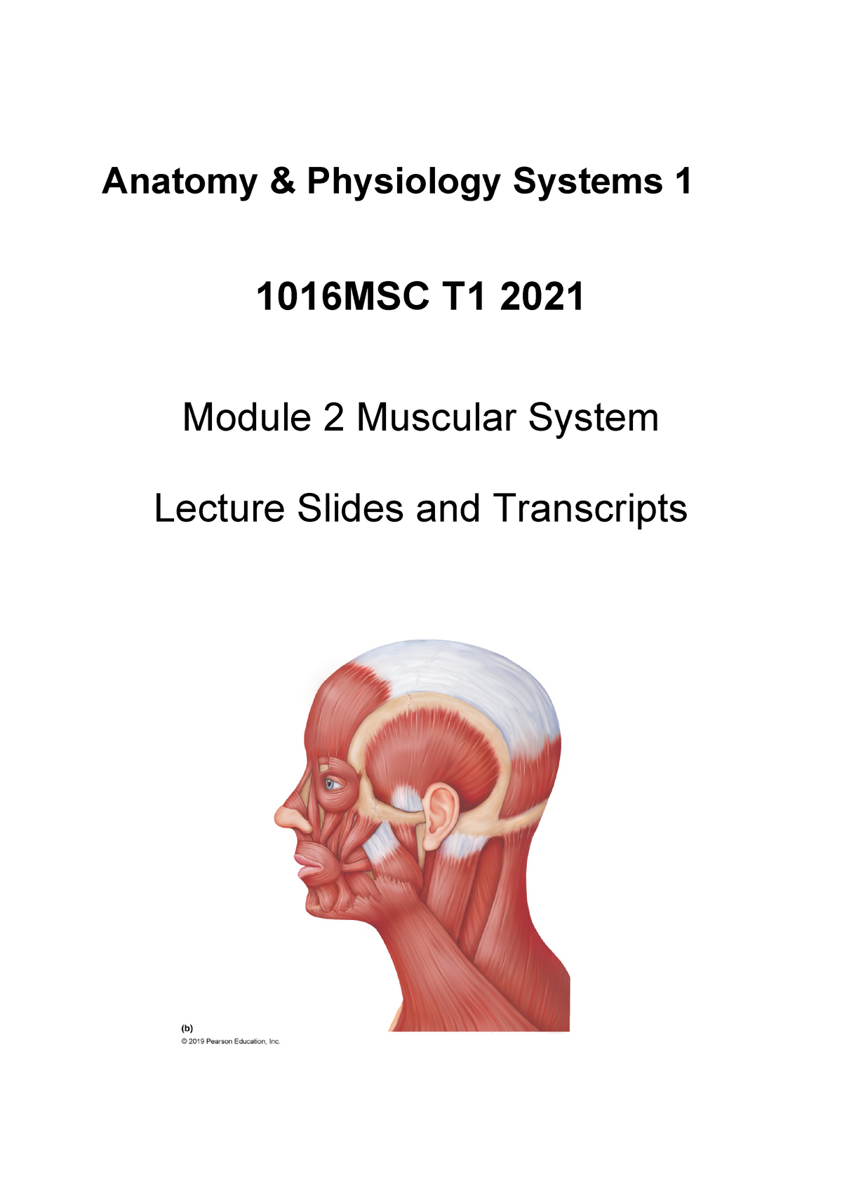 Ppt Slides And Transcripts - Anatomy & Physiology Systems 1 1016MSC T1 ...