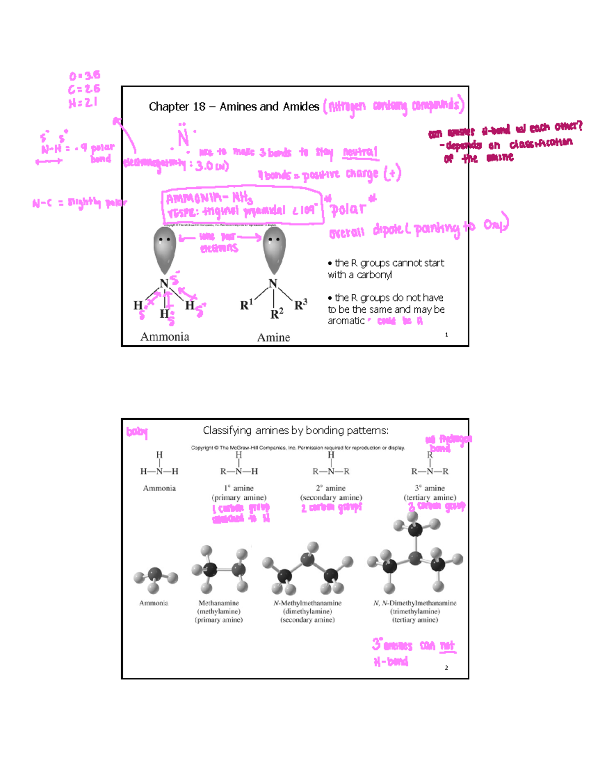 Chapter 18 Amines and Amides - 1 Chapter 18 – Amines and Amides ...